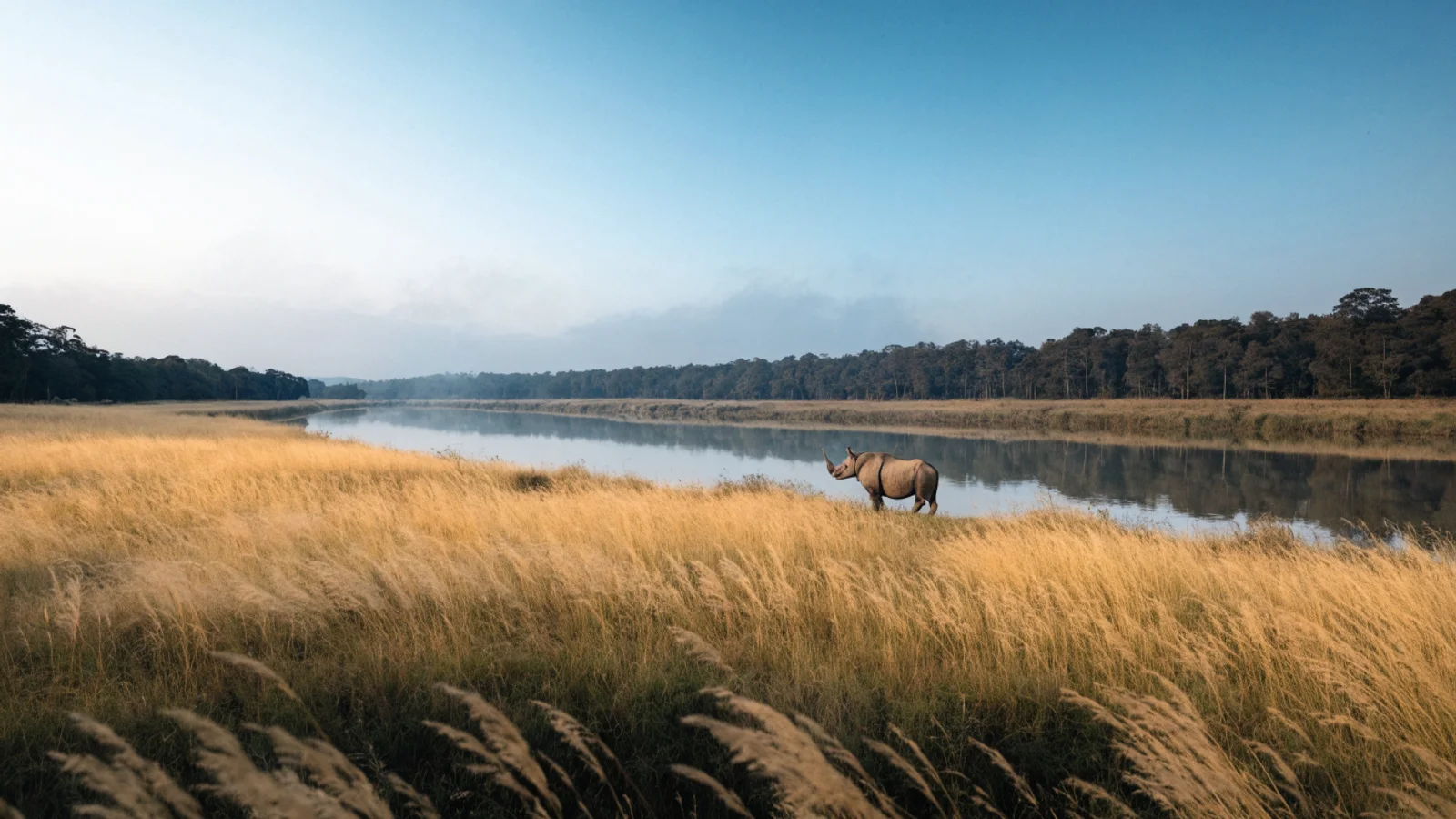 Chitwan & Terai Region landscape