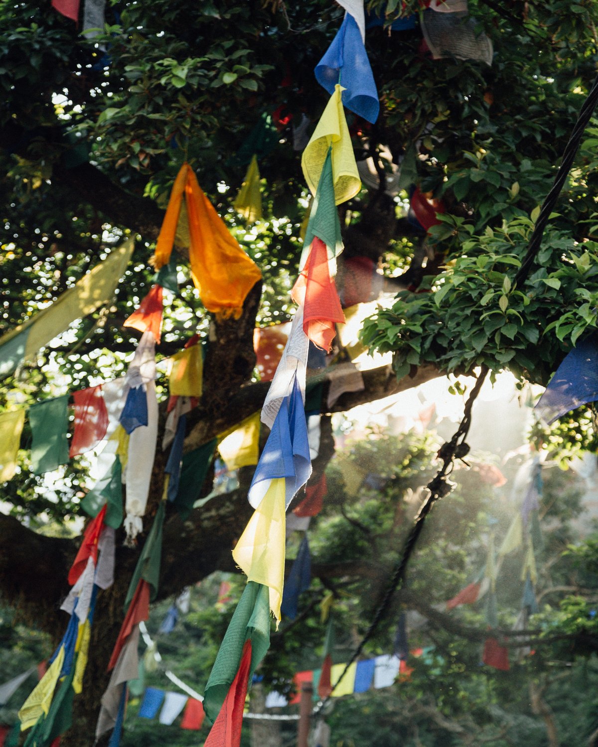 Kathmandu Valley UNESCO Cultural Tour – 6 Days tour