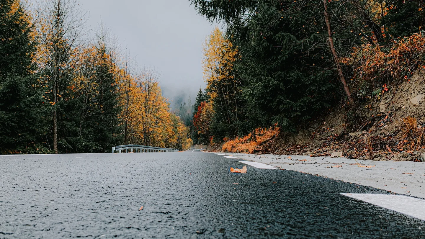 Wet road surface showing monsoon transport caution